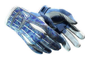 ★ Sport Gloves | Amphibious (Well-Worn)